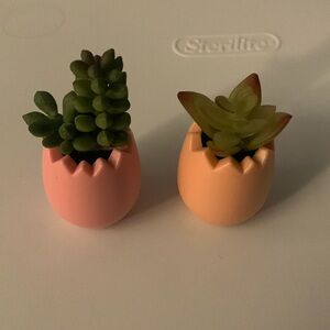 Mini egg fake plants